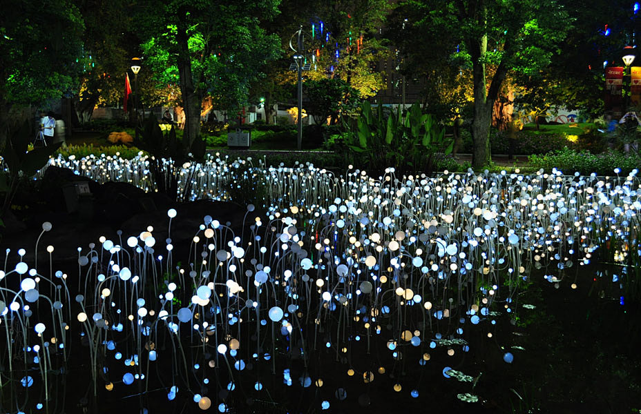 Night Park